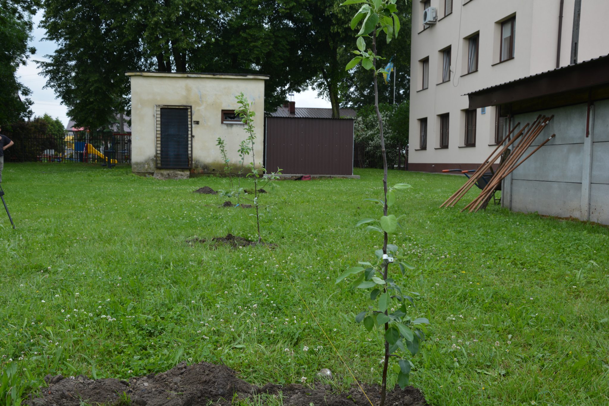 Abilify Side Effects Common Severe Long Term Drugs Com Abilify Side Effects Common Severe Long Term Drugs Com