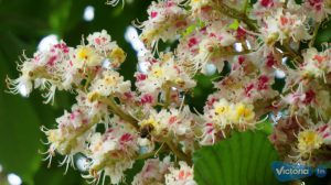 Majówka w regionie między Łodzią a Warszawą