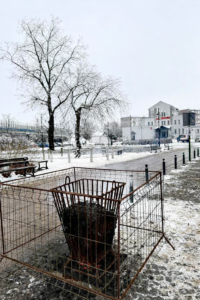 Koksowniki w Skierniewicach – czy się sprawdziły?