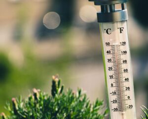 Okres wysokich temperatur